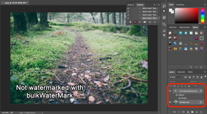 Step 6: Select both layers to align the watermark