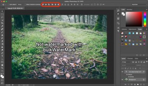 Step 7: Aligning the watermark