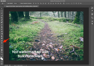 Step 4: Adding a text watermark