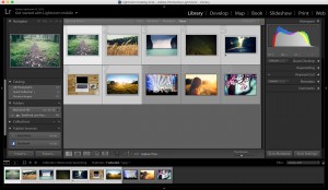 Step 1: Selecting photos to export and watermark