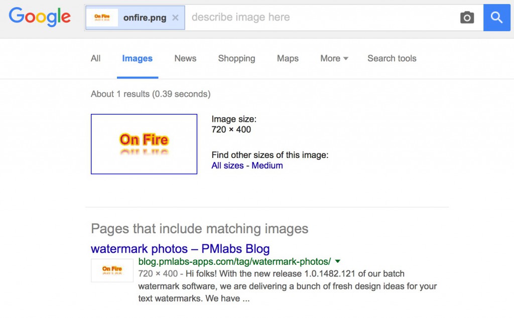 The search result with an image file as "keyword"